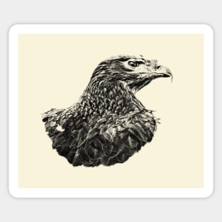 Steppe eagle Sticker